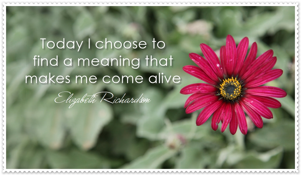 I Don’t Have Problems