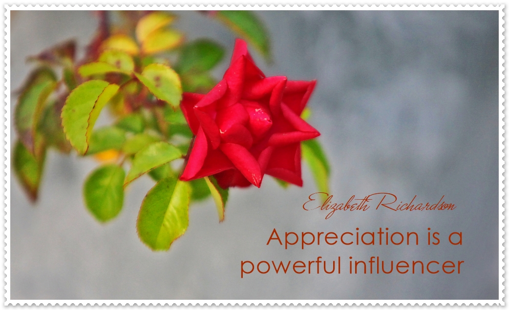 I Don’t Try To Fix Anyone