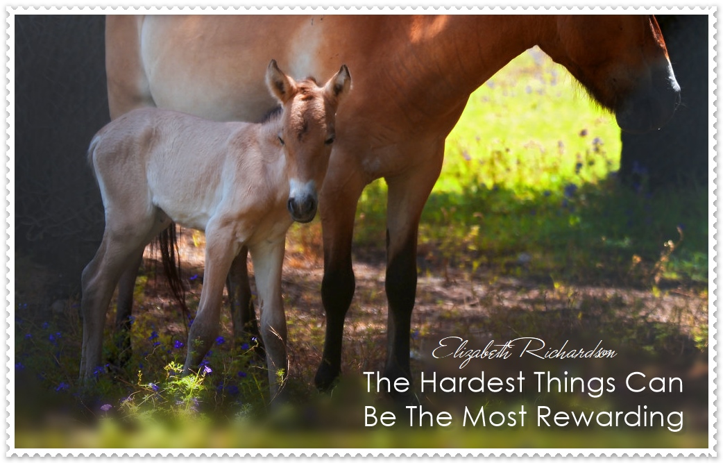 Hardest Things Can Be The Most Rewarding