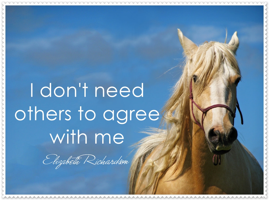 I Don’t Need Others To Agree With Me