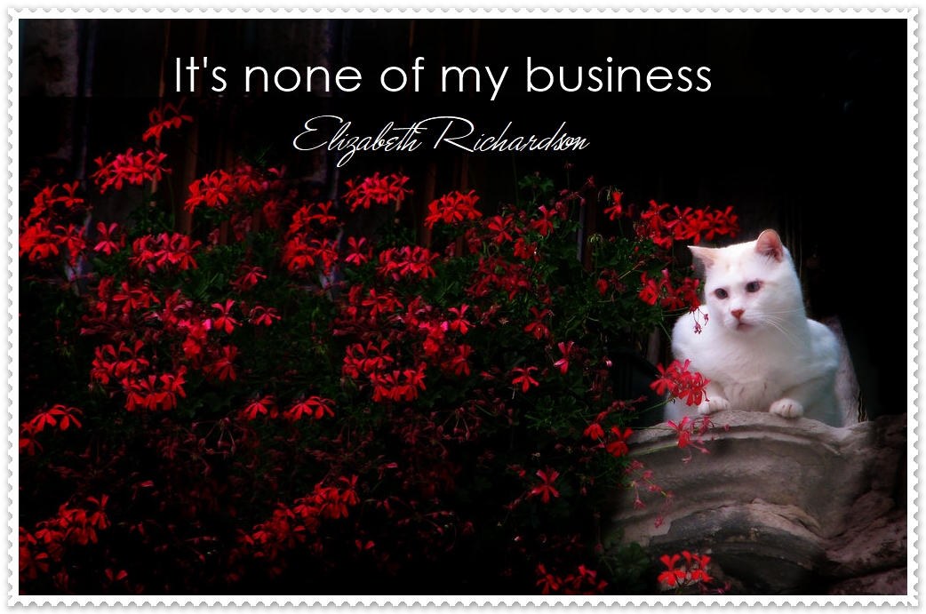 It’s None Of My Business