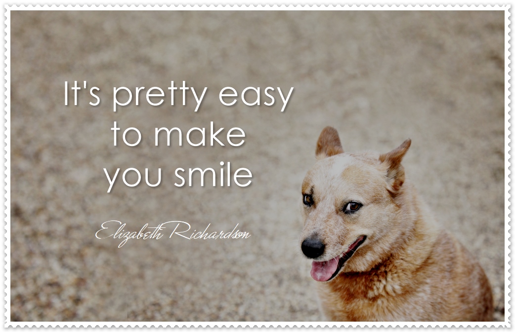 Sometimes I Say Stupid Things