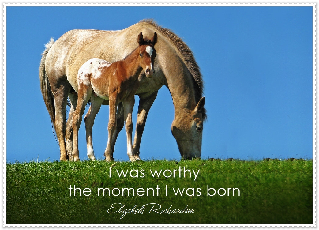 I Don’t Need To Prove I’m Worthy