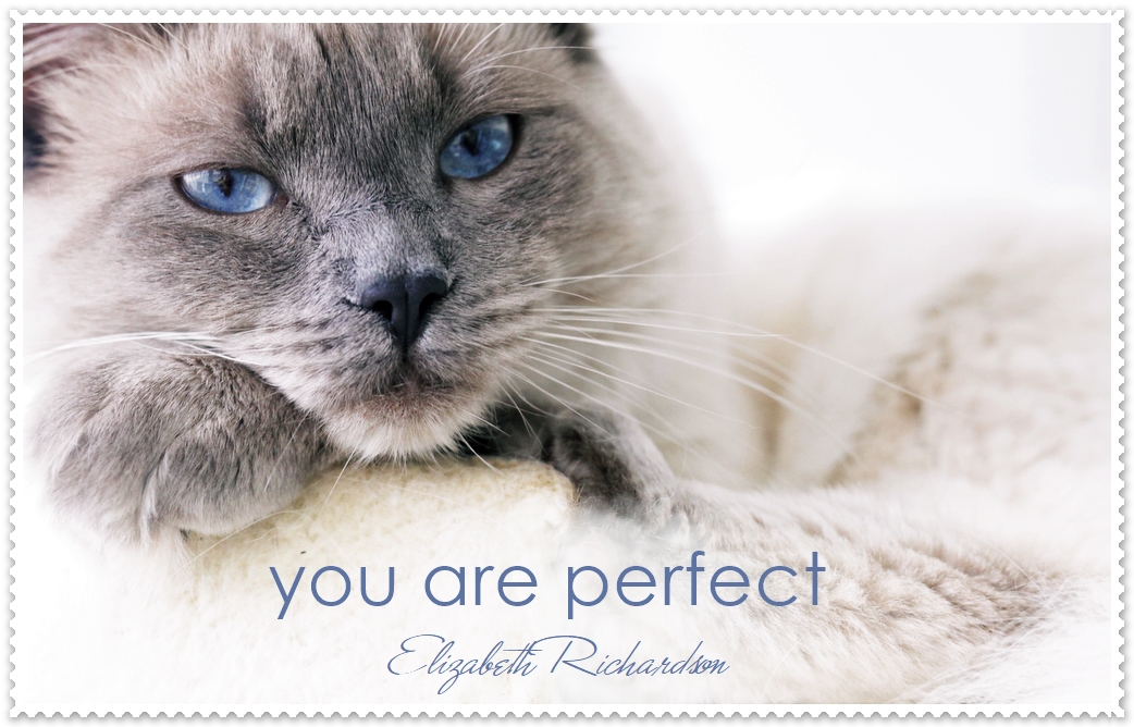 You Are Perfect Just The Way You Are